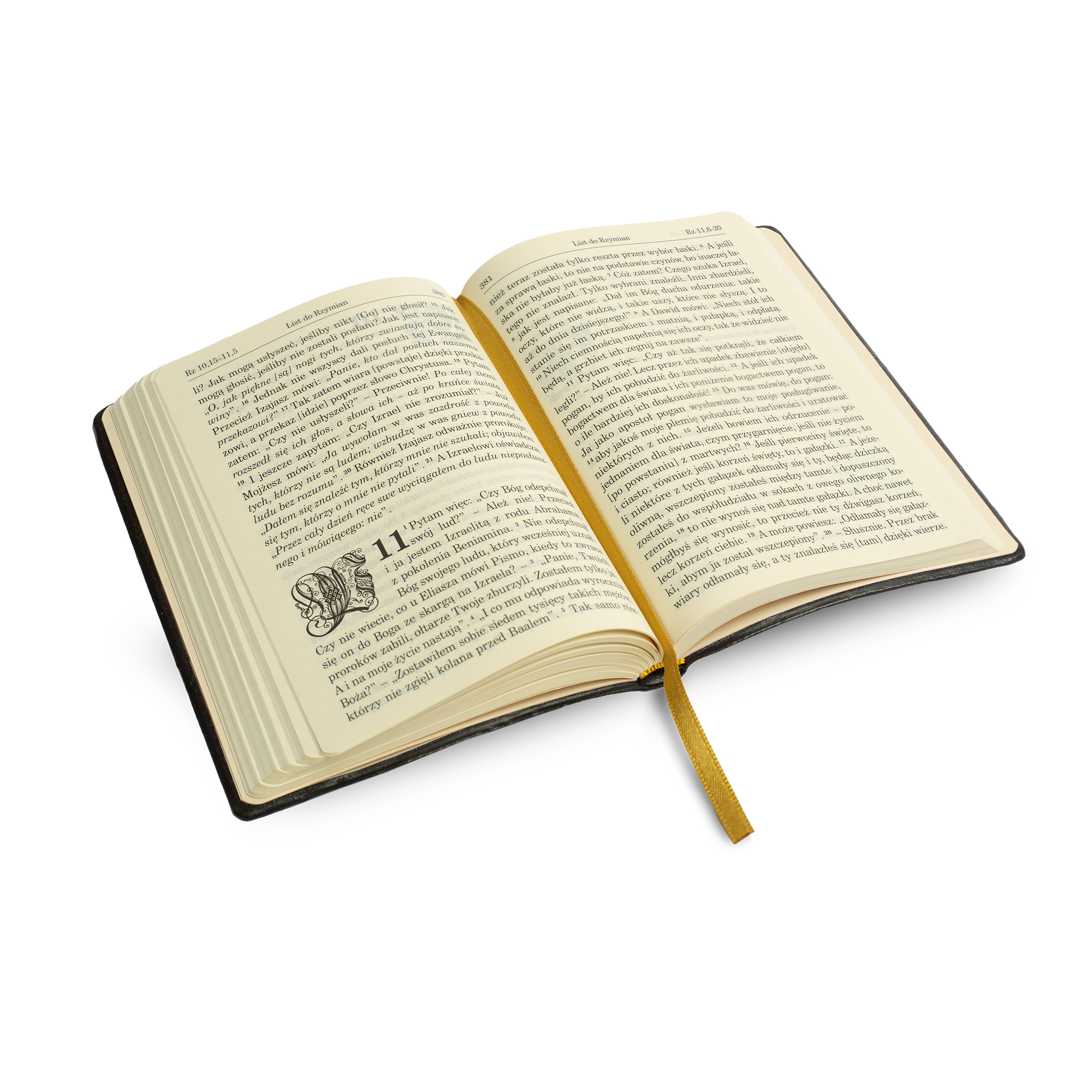 Biblia pierwszego Kościoła. Nowy Testament. Wydanie kieszonkowe. Duże litery. Czarna oprawa. - obrazek 3